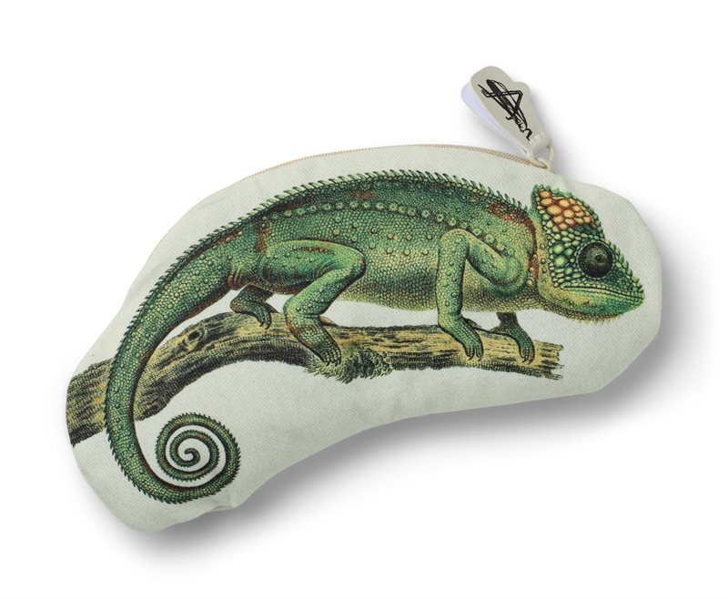 Eclectionery Pencil Case - Chameleon