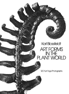 Art forms in the plant world