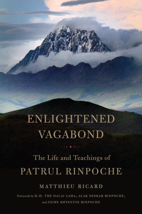 Enlightened vagabond