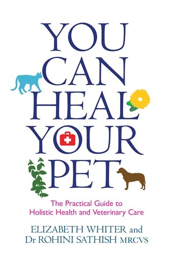 You can heal your pet - the practical guide to holistic health and veterina