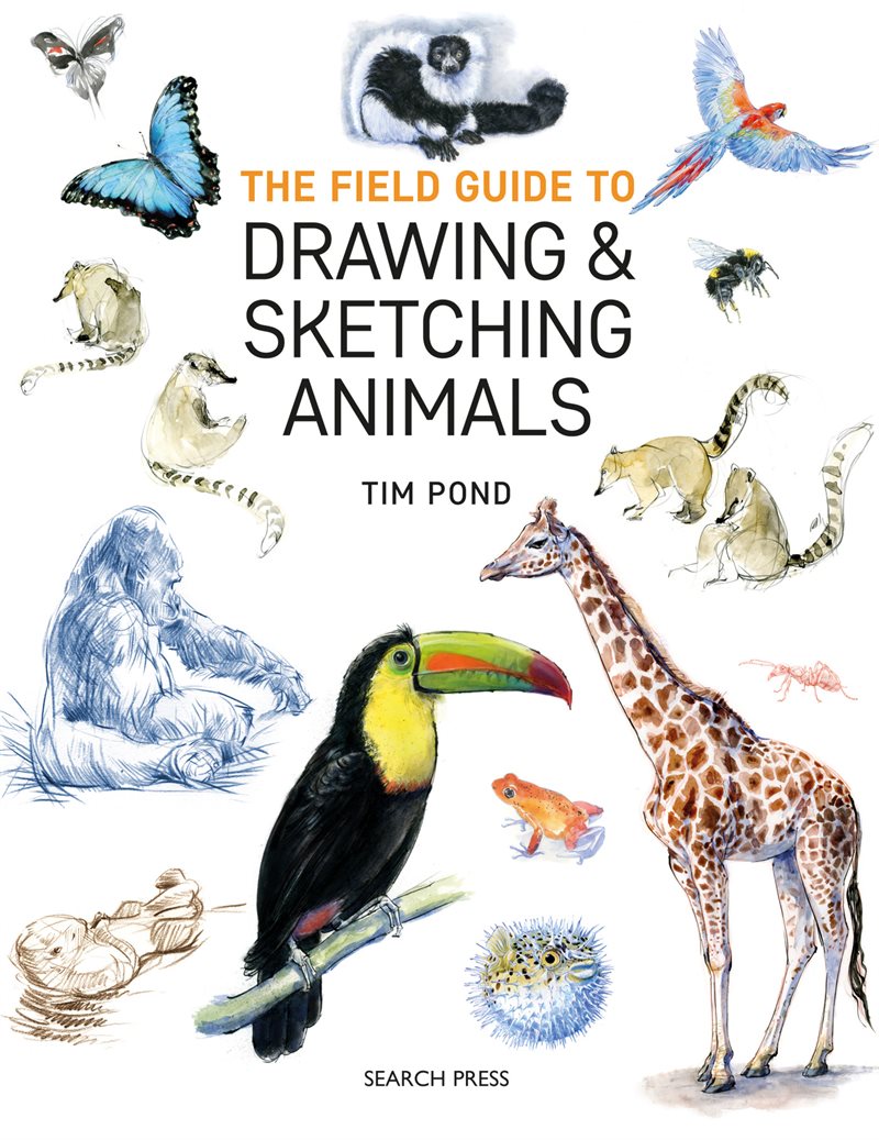 The Field Guide to Drawing  Sketching Animals