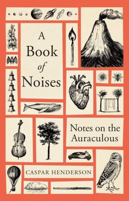 Book of Noises - Notes on the Auraculous