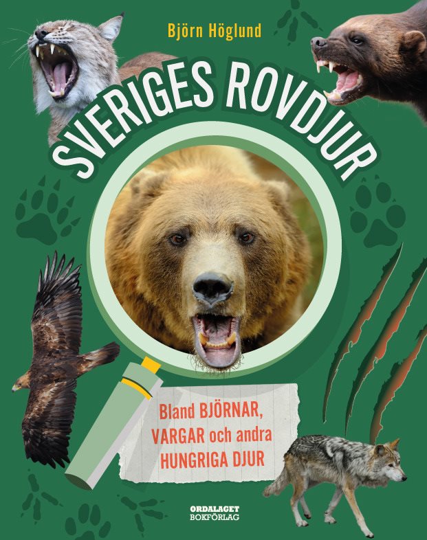 Sveriges rovdjur: Bland björnar, vargar och andra hungriga djur