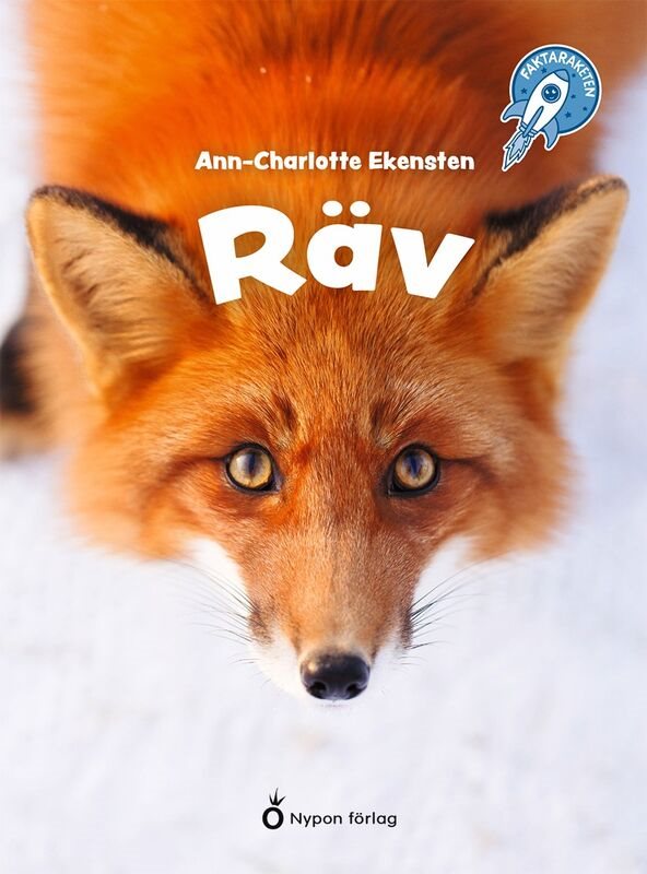 Räv