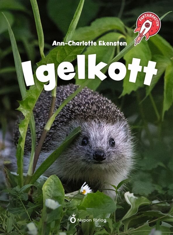 Igelkott