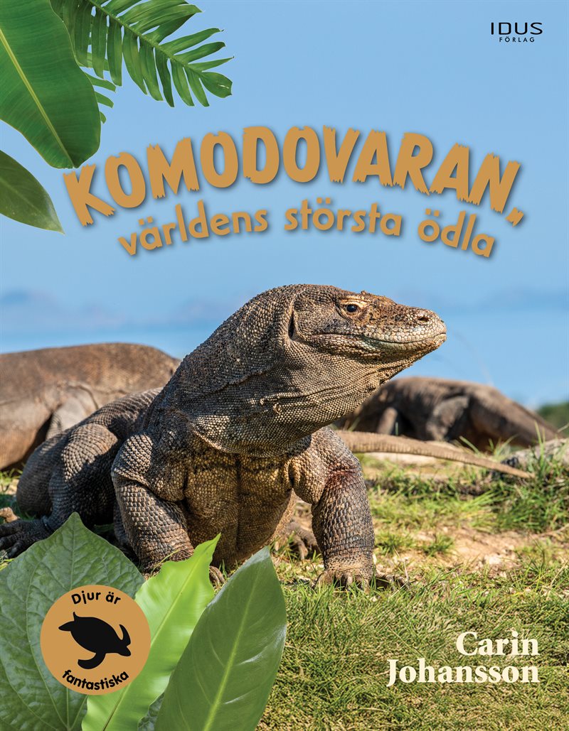 Komodovaran: världens största ödla