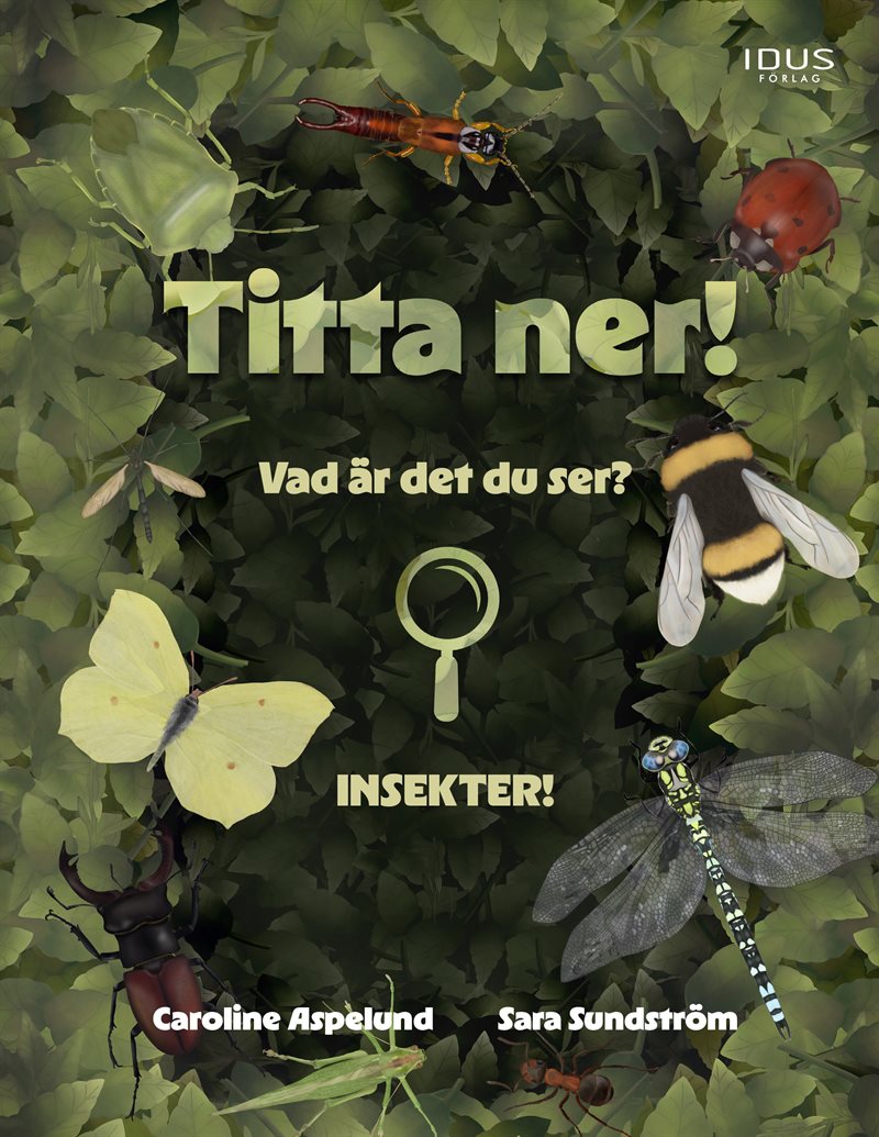 Titta ner!