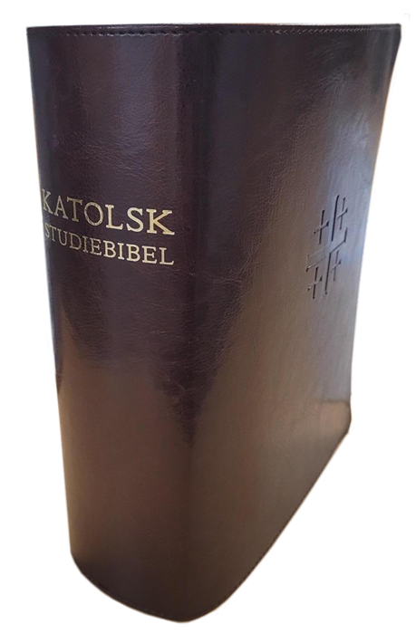 Katolsk studiebibel. Bibel 2000 med katolska kommentarer