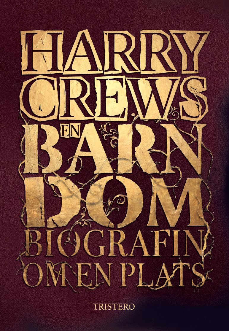 En barndom: biografin om en plats